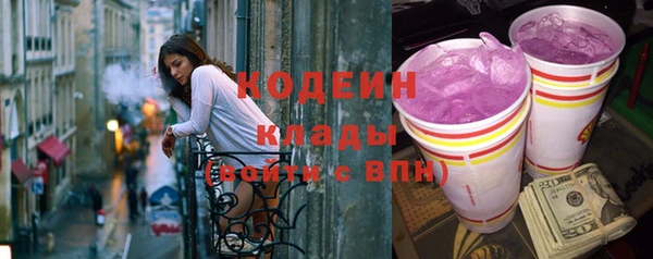 индика Семилуки