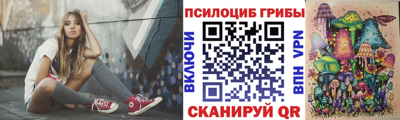 Псилоцибиновые грибы GOLDEN TEACHER  мориарти наркотические препараты  Заозёрск 
